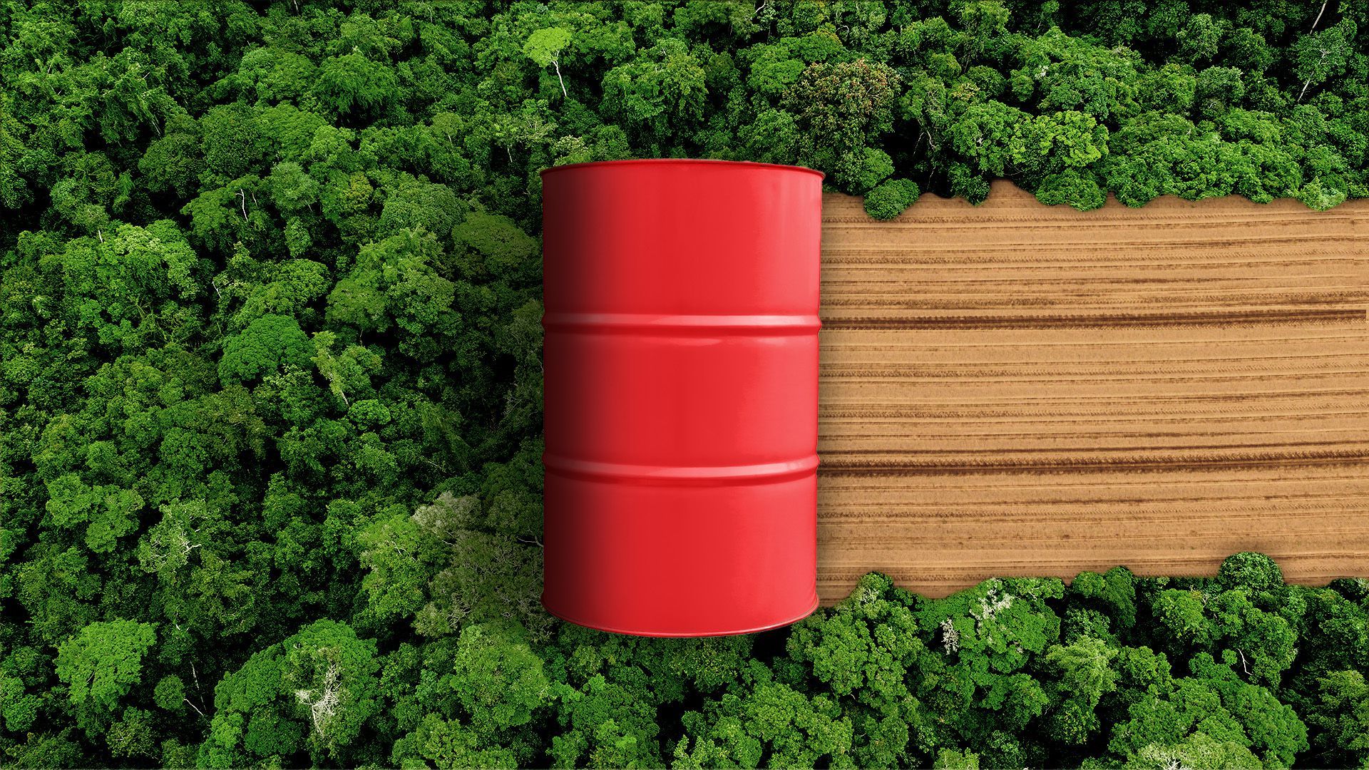 Illustration of an oil barrel rolling through a rainforest and leaving a dirt path behind it