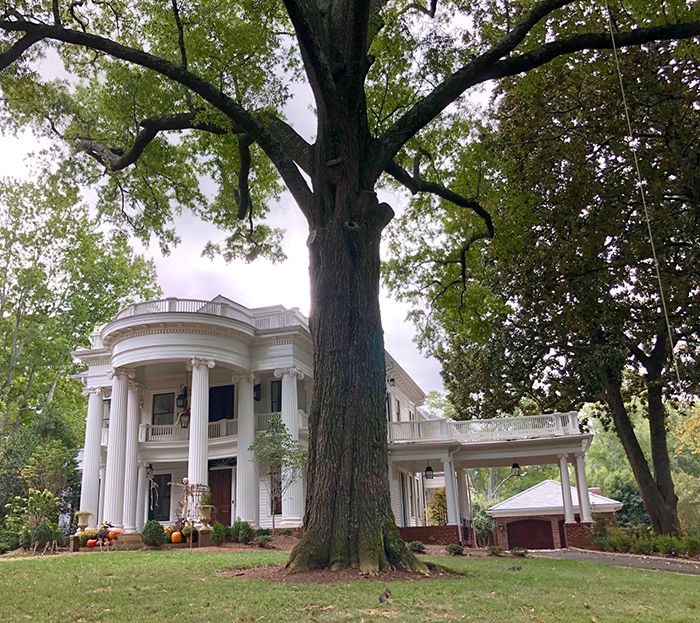 hermitage road charlotte