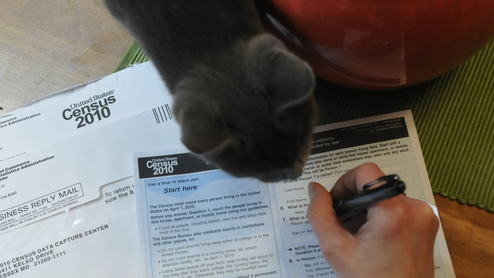 A cat perches over as someone fills out their 2010 Census form. 
