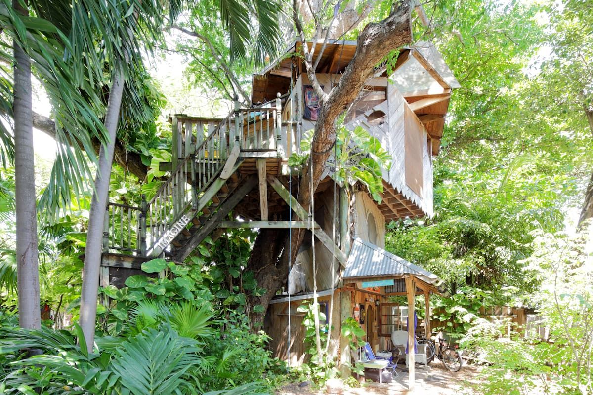Treehouse on a farm in Miami