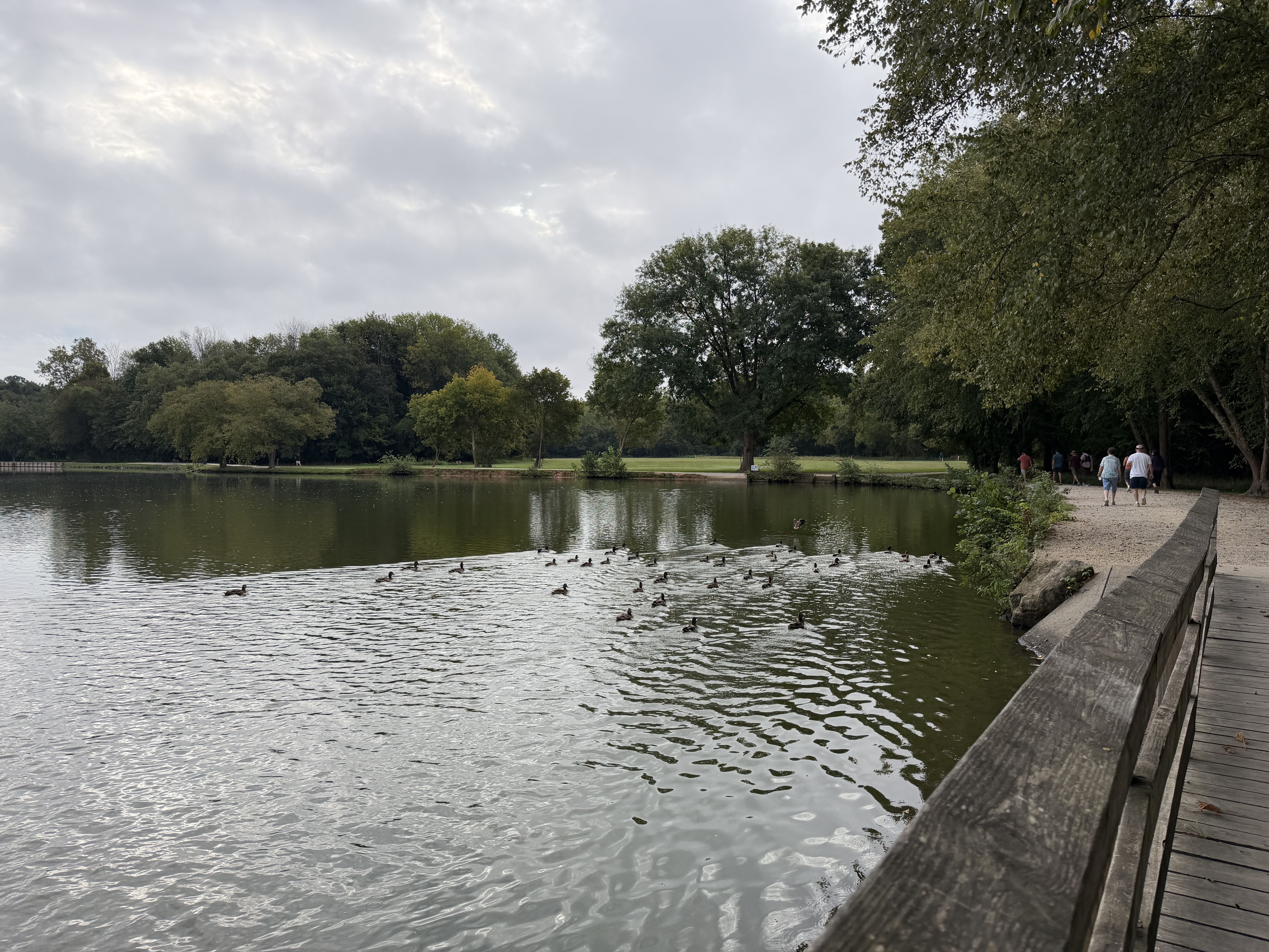 A tranquil lakeside park: a wooden railing lines a gravel path on the right as people walk; ducks dot the calm water, with green trees along the far shore under an overcast sky.