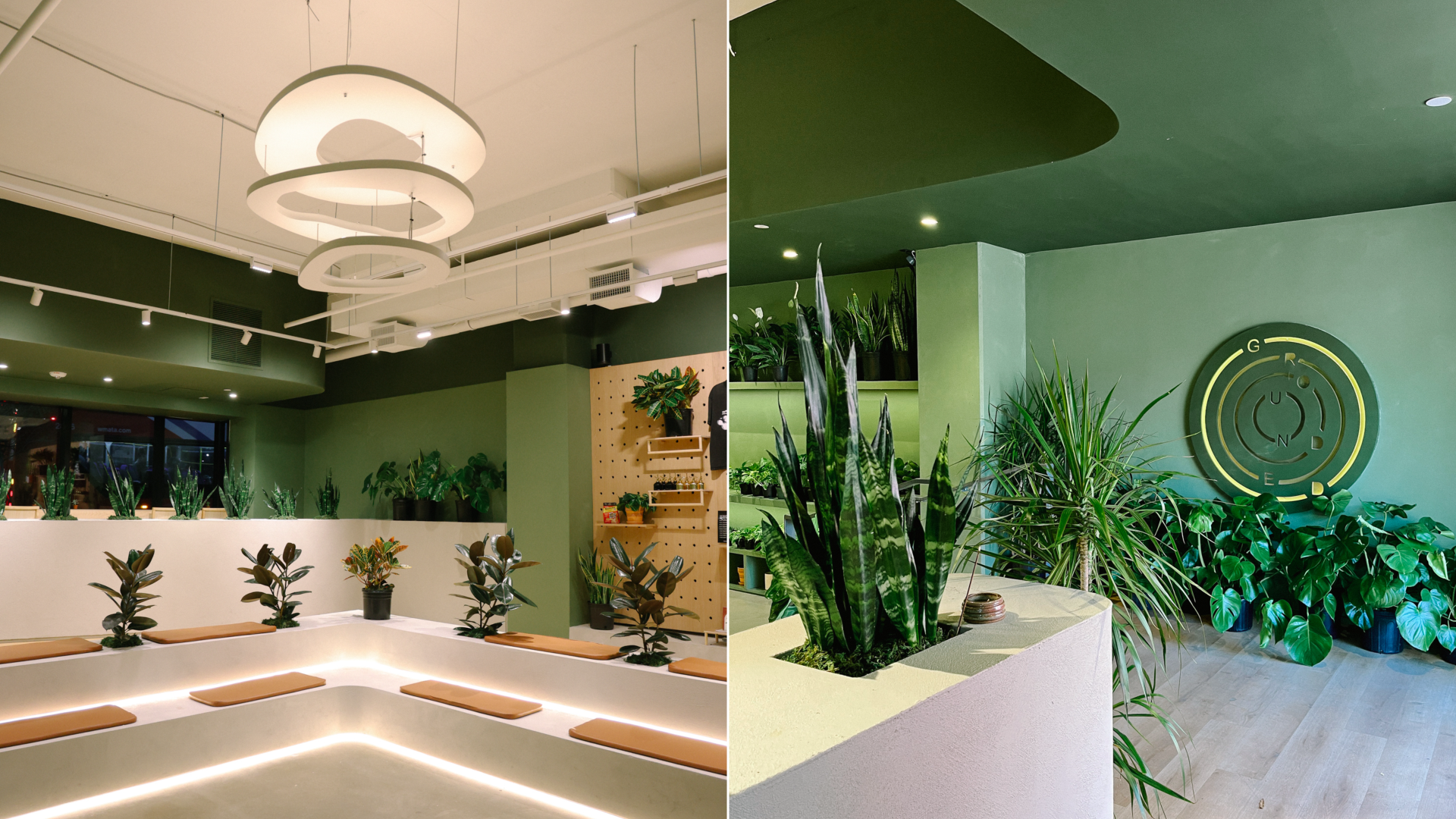 Two photos showing the interior of a plant store with seating.