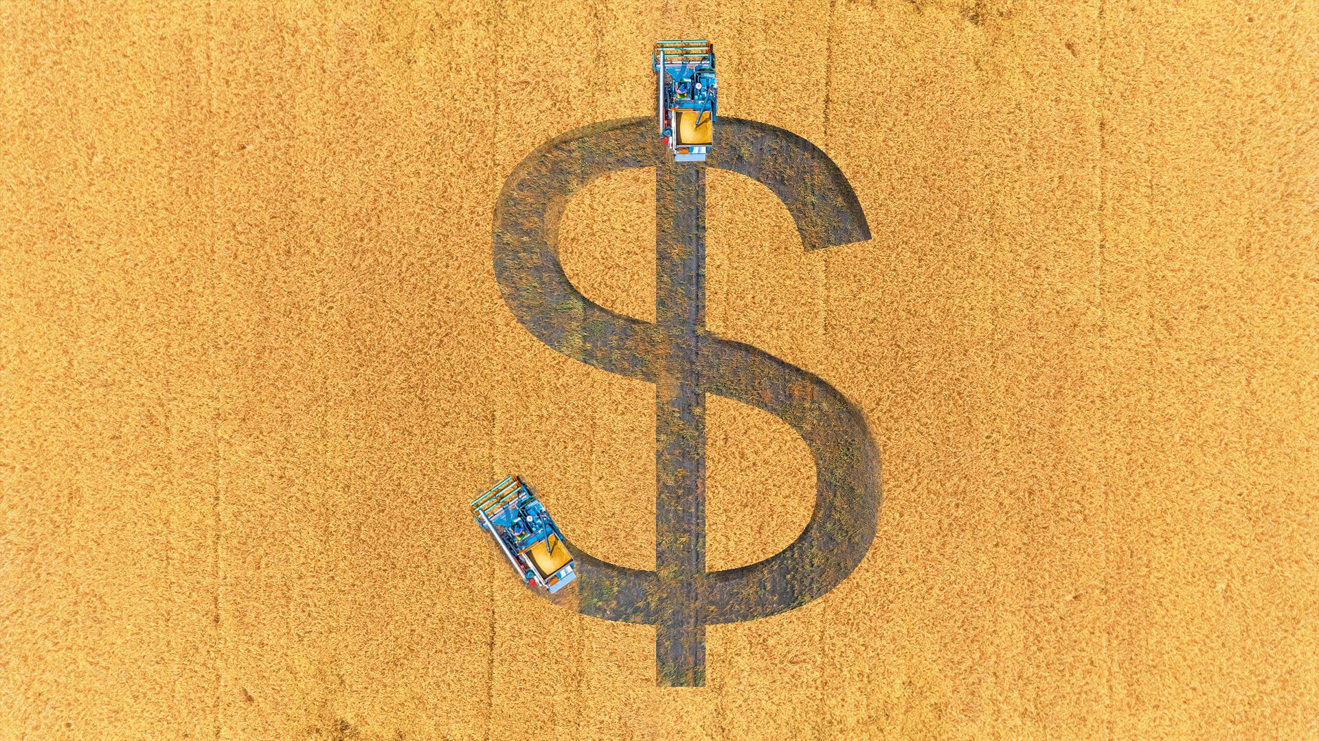 An illustration of a money sign being mowed into a corn field. 