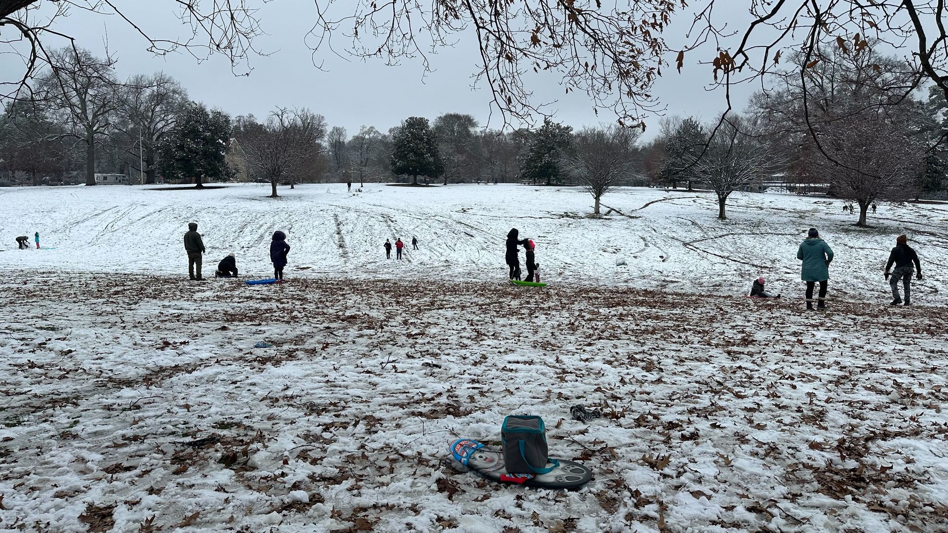 Snow-covered park hill with scattered leaves and people in winter clothes sledding and playing, framed by bare tree branches against a gray sky.
