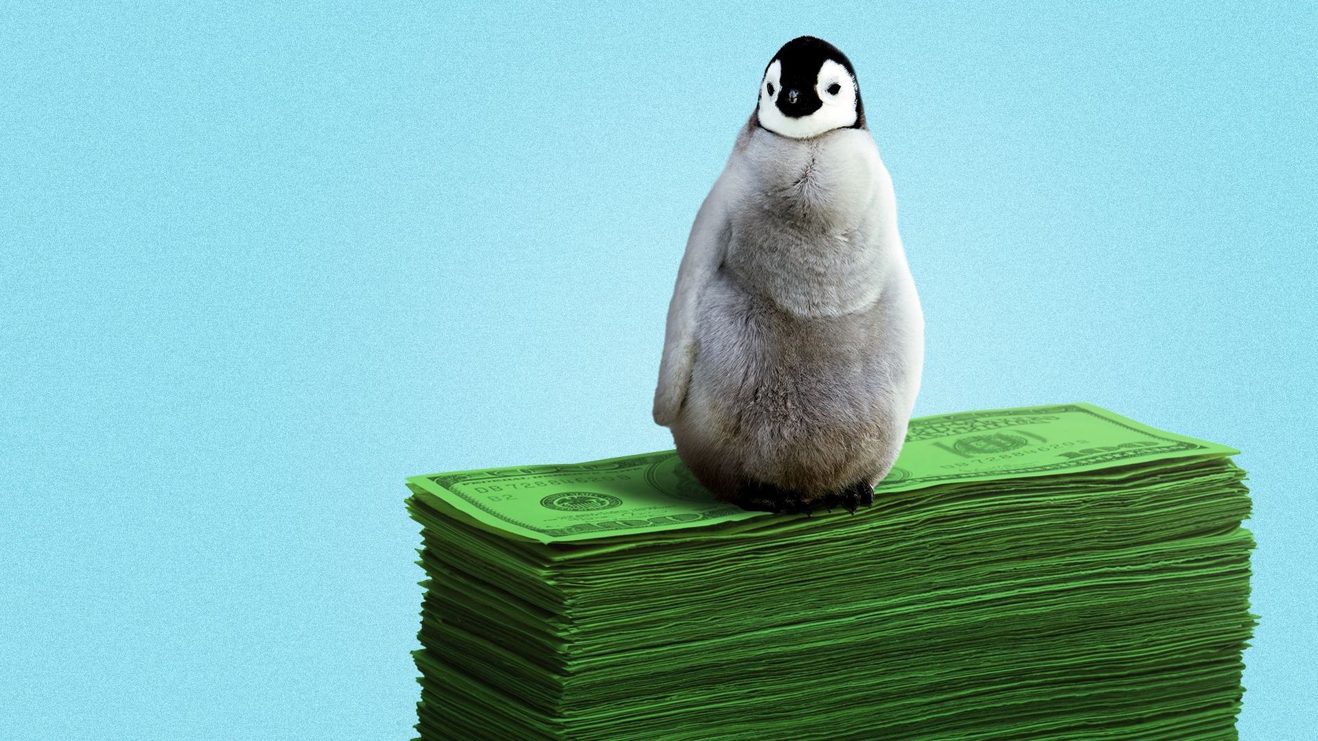 an illustration of a baby emperor penguin sitting on top of a stack of 100 dollar bills