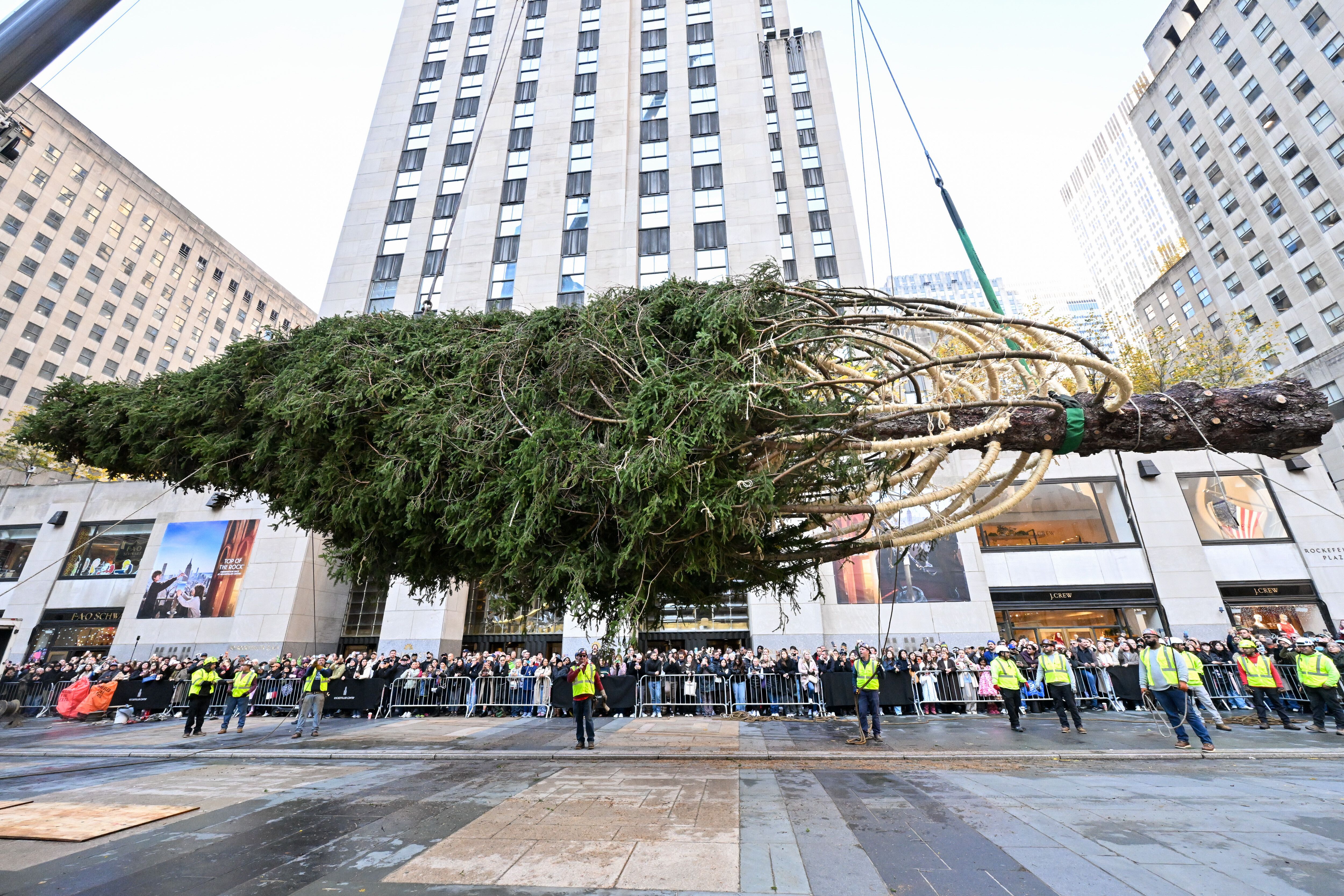 IMAGE DISTRIBUTED FOR TISHMAN SPEYER - The wrapped 2025 Rockefeller Center Christmas Tree, a 75-foot tall, 11-ton Norway Spruce from East Greenbush, NY, is suspended in air in front of 30 Rockefeller Plaza, Saturday, Nov. 08, 2025, in New York. The Rockefeller Center Christmas Tree Lighting Ceremony