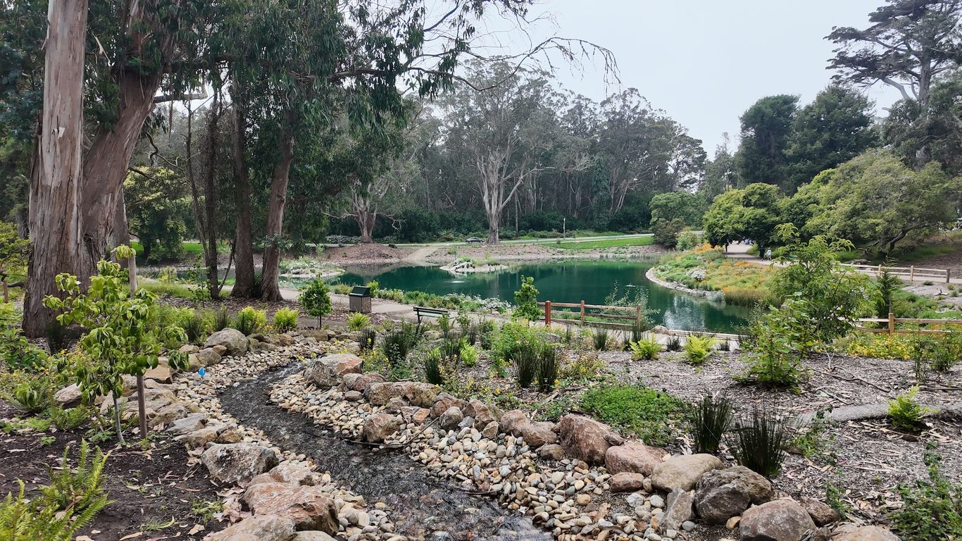 Visiting San Francisco's newest park: Middle Lake - Axios San Francisco