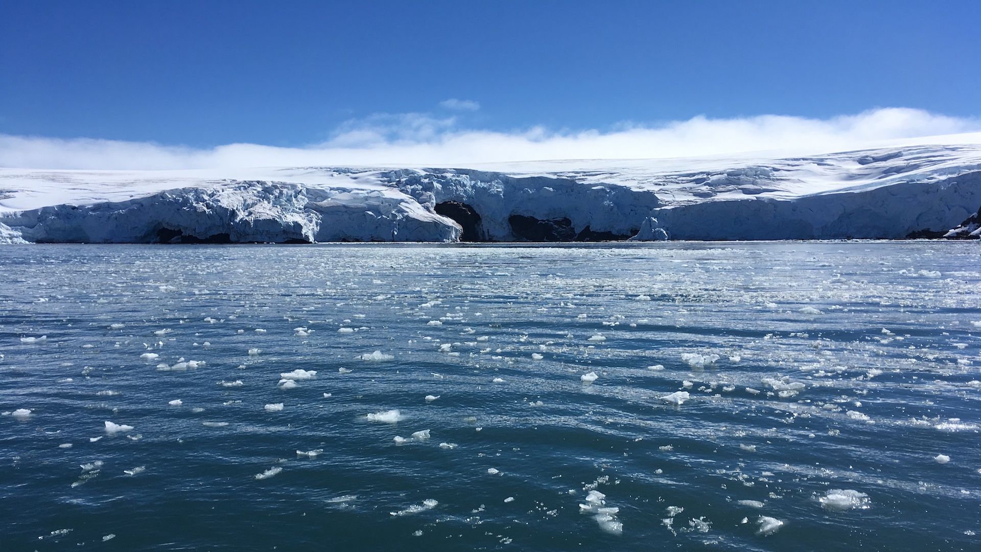 Blocks of ice drift on the water off the coast of Collins glacier on King George Island, Antarctica on February 1, 2018.