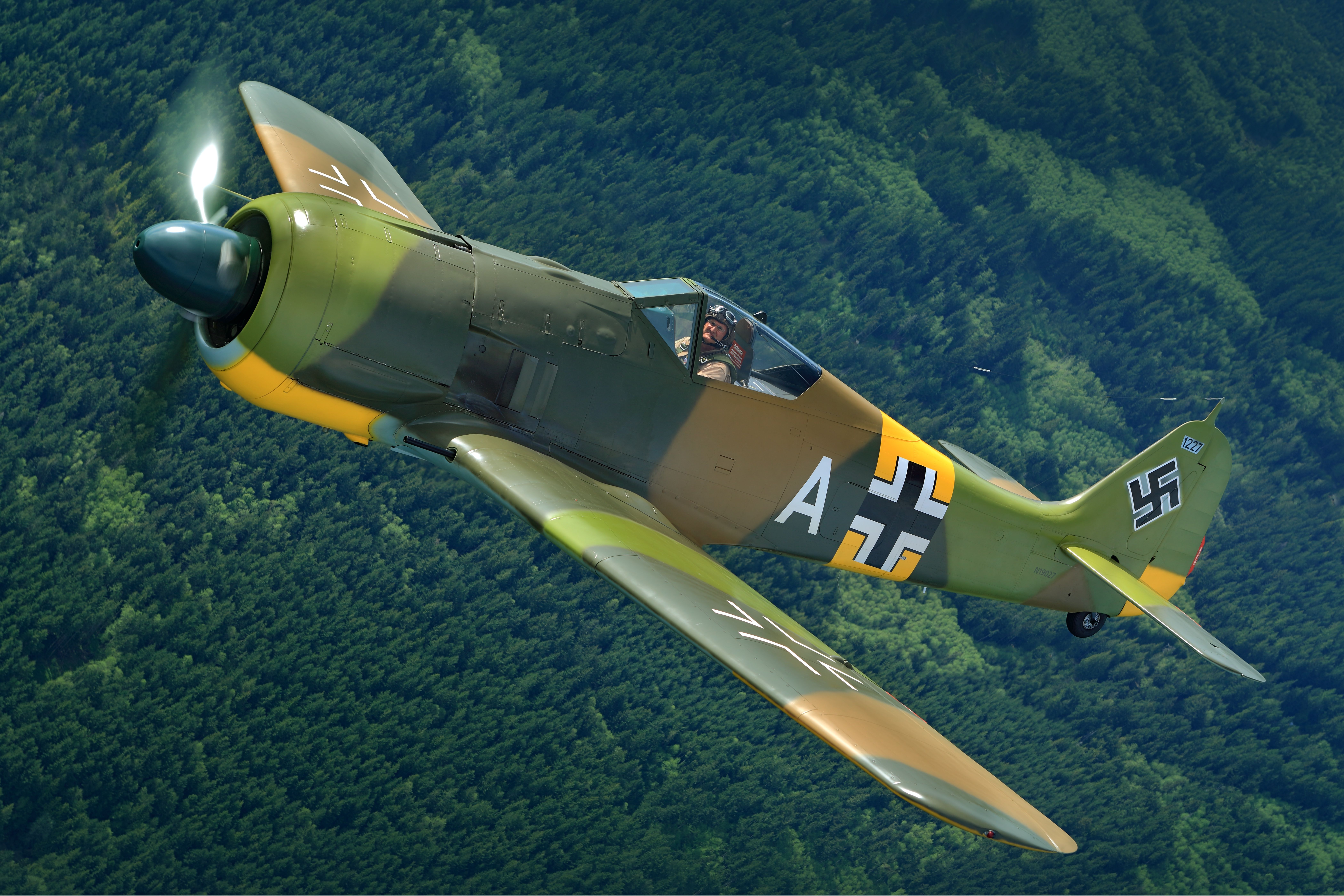 A German FW 190A-5 World War II era airplane flys above a forest. 
