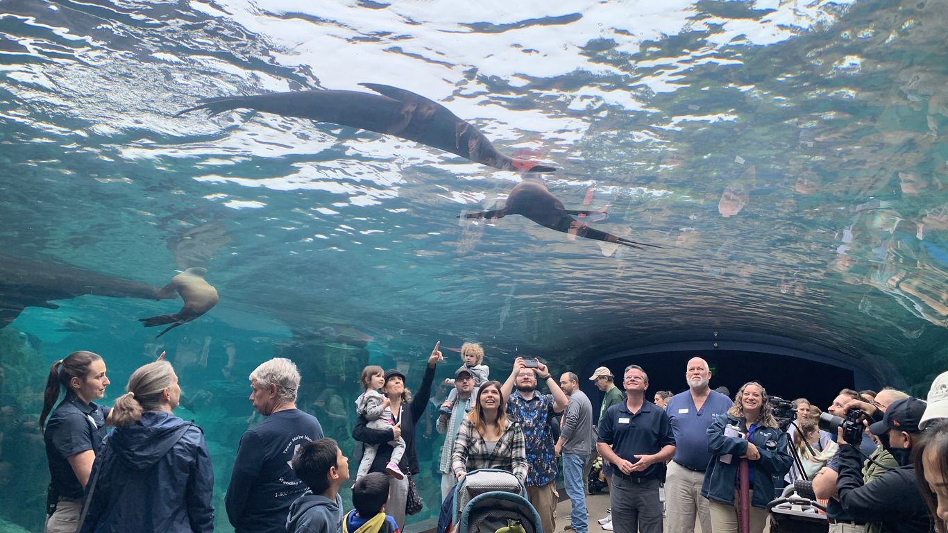 The Houston Zoo's Galápagos Islands exhibit opens - Axios Houston