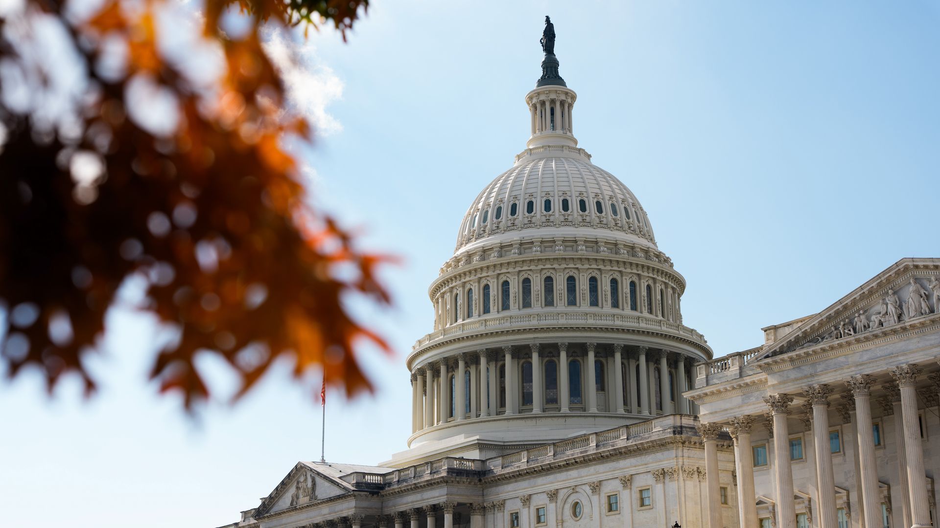 Image of the US Capitol building in Washington, DC with fall foilage. 