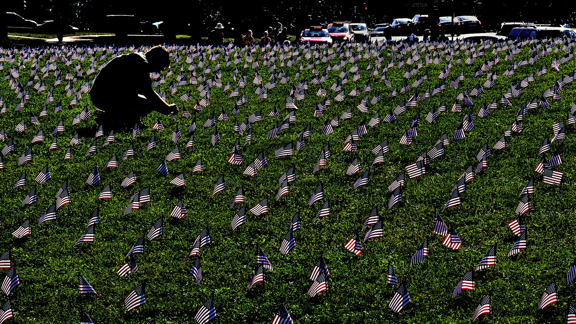 Picture of small American flags planted on a grassy area