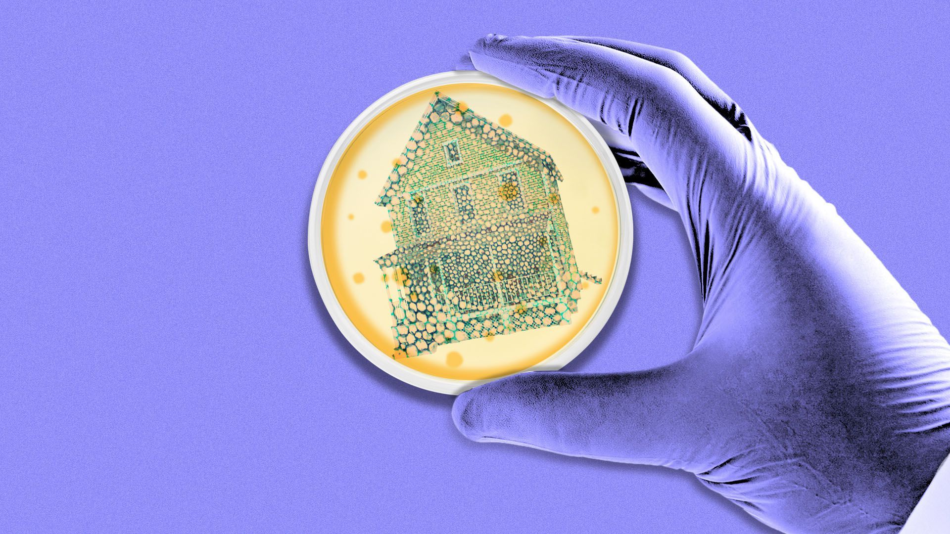 Illustration of a hand holding a petri dish with cells in the shape of a house