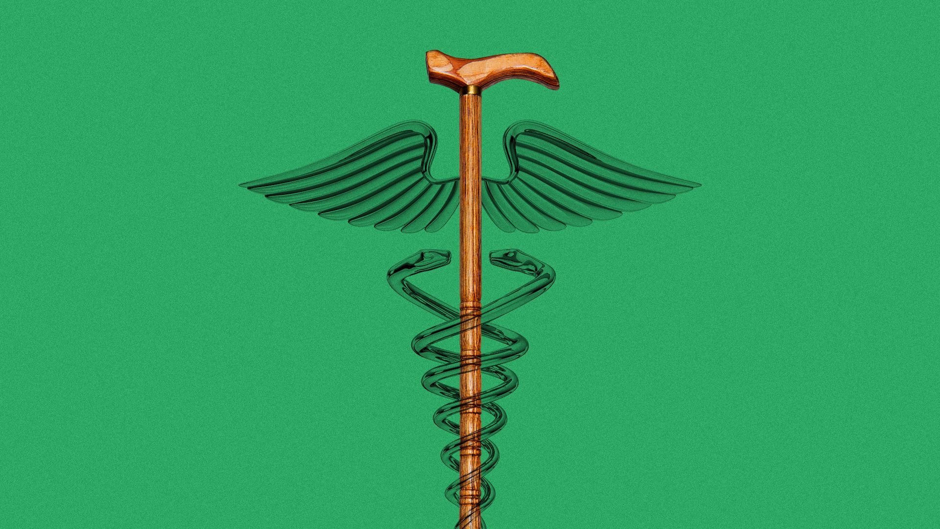 Illustration of a cane forming the center staff of a caduceus.