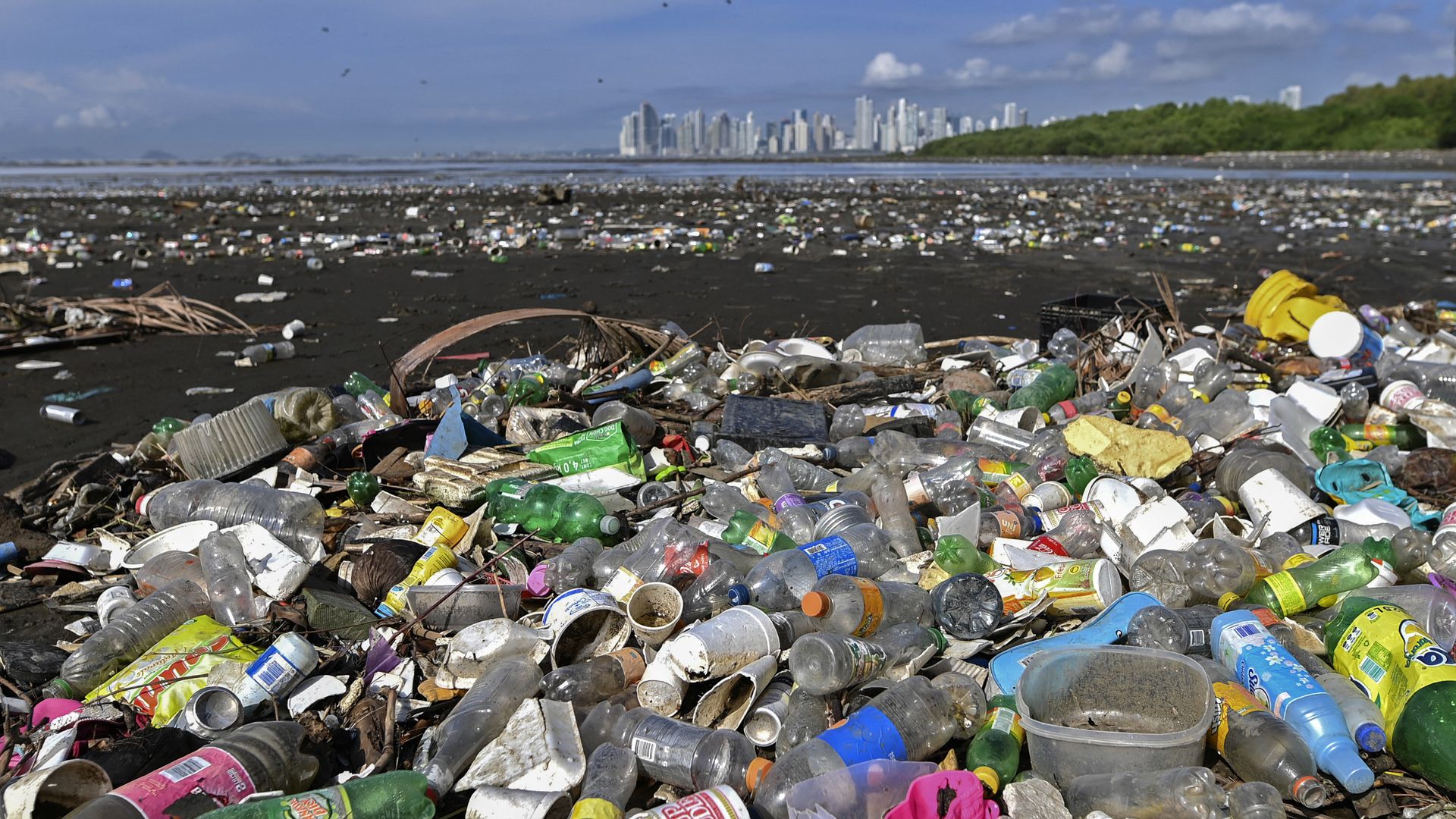 Photo of plastics covering the span of a beach