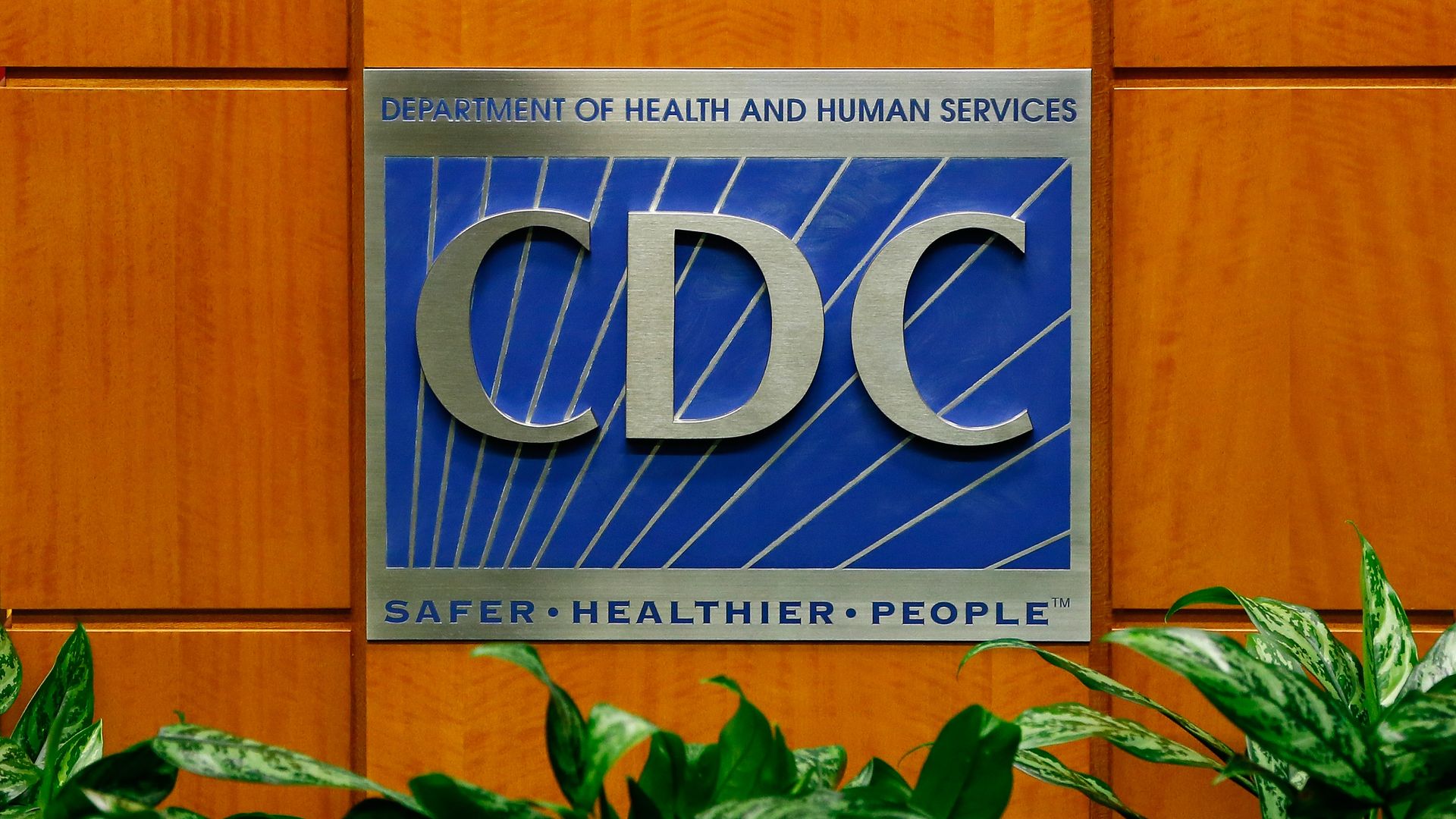 Photo of the CDC logo hanging on a wooden wall