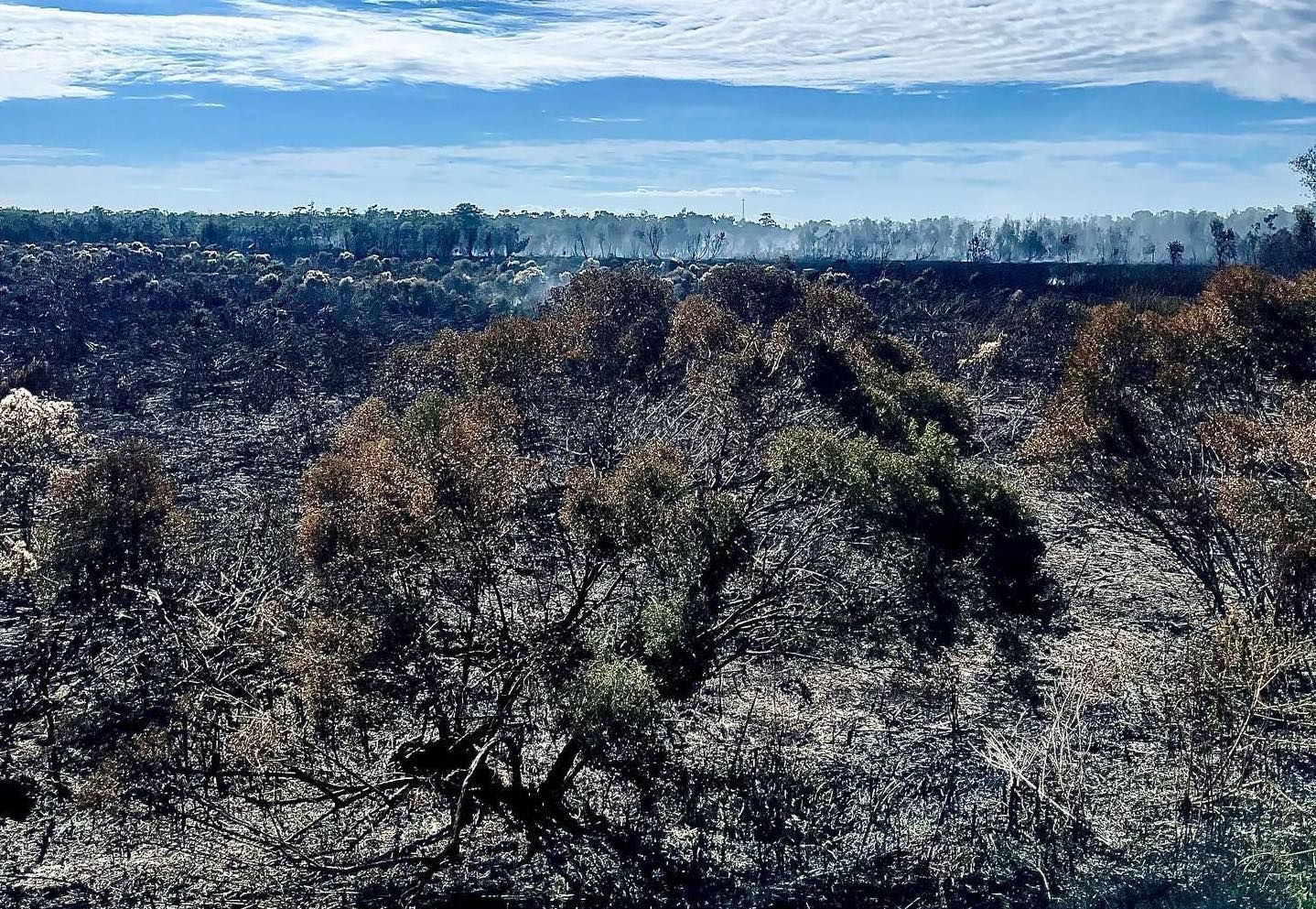 Photo shows the aftermath of a wildfire with smoke visible on the horizon
