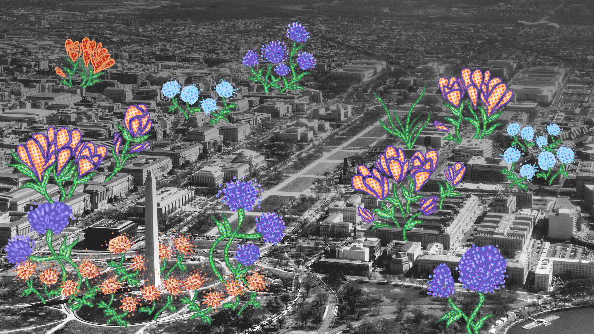 An aerial view of Washington, DC being invaded by plants