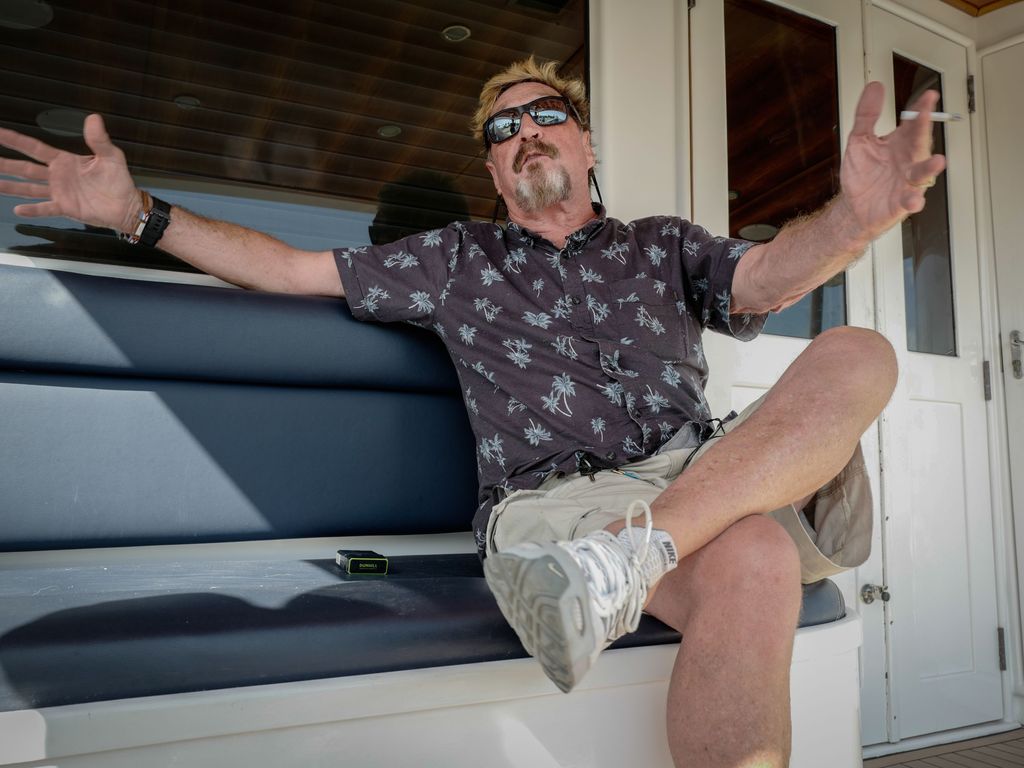 John McAfee indicted for alleged cryptocurrency pump and dump scheme