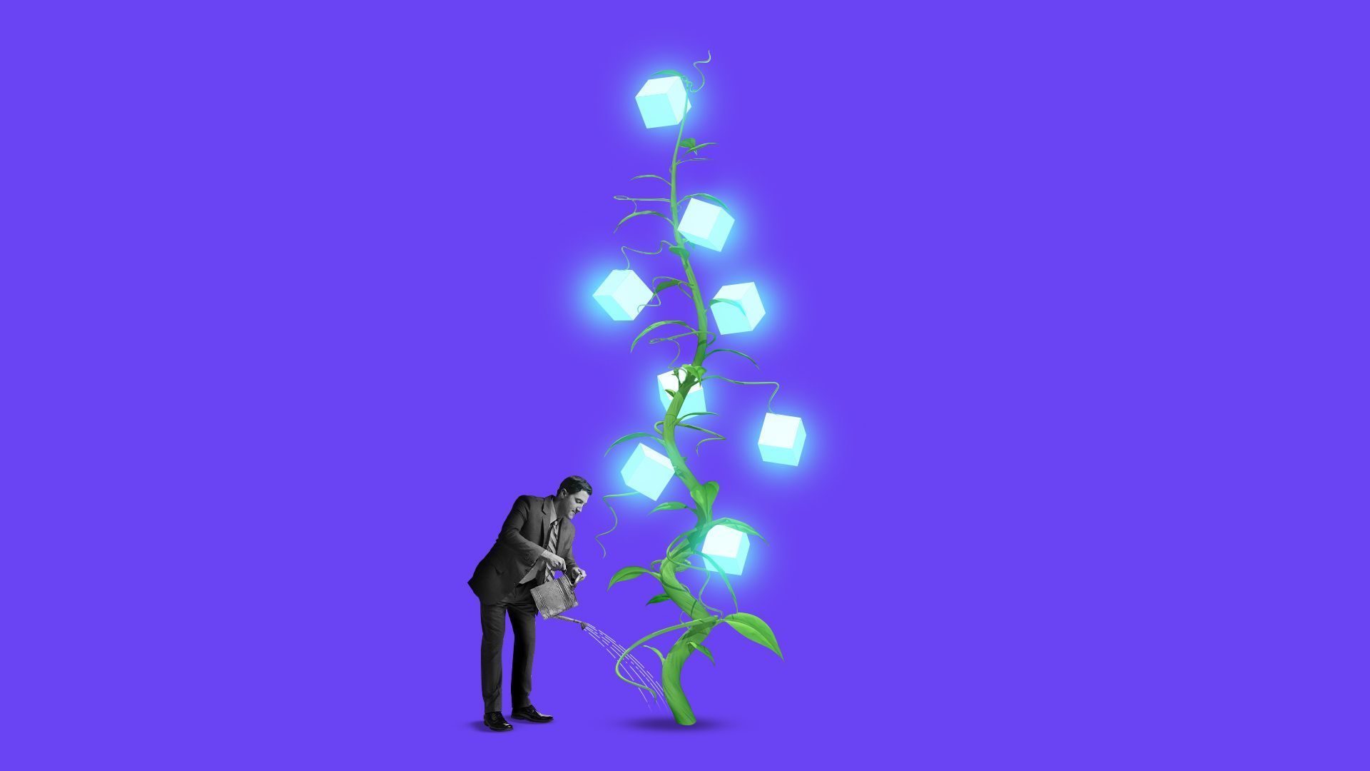 Illustration of a person watering an extremely tall beanstalk with glowing blocks growing all up and down it. 