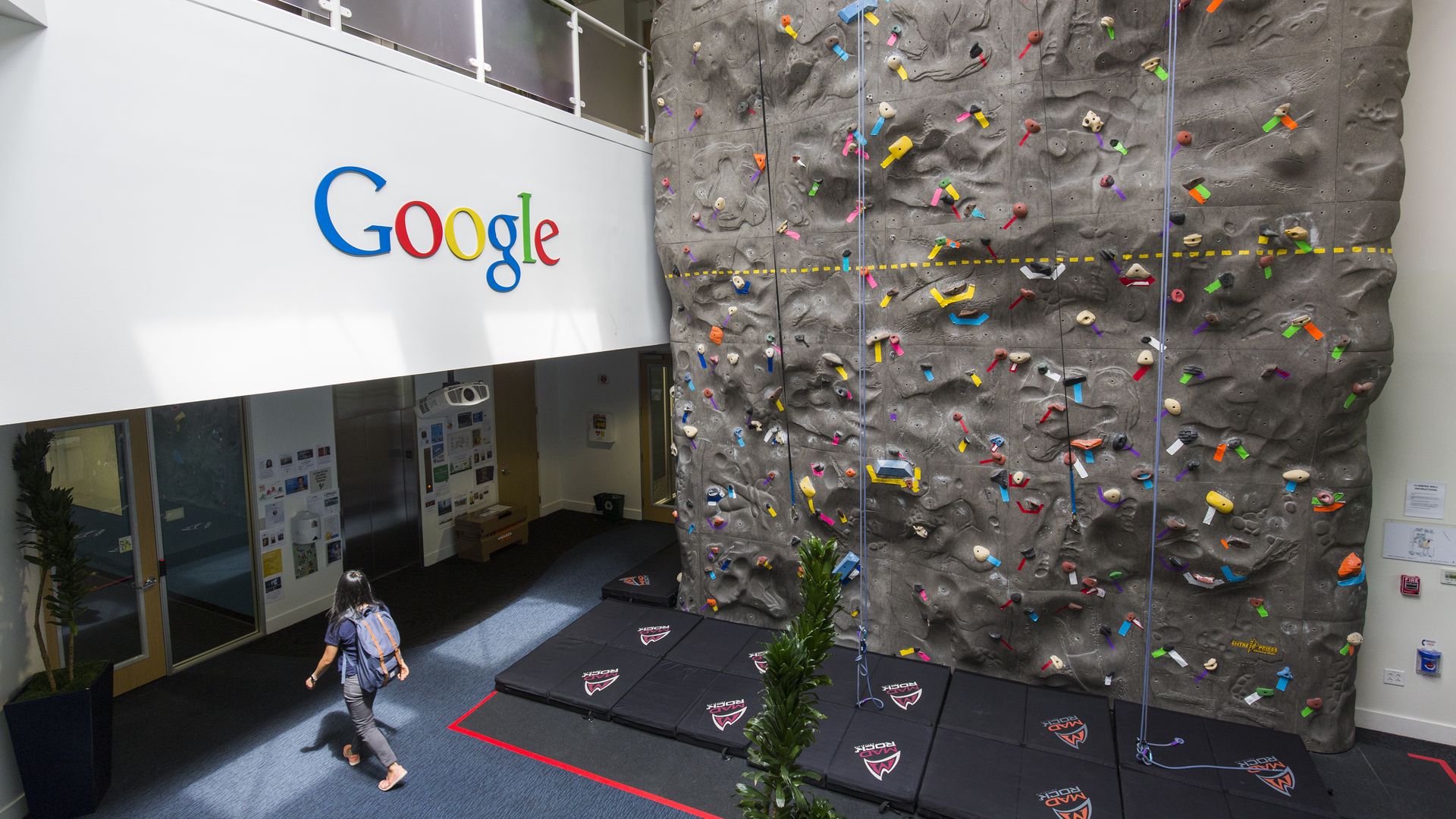 Photo of entryway at Google office in Mountain View, CA with a climbing wall