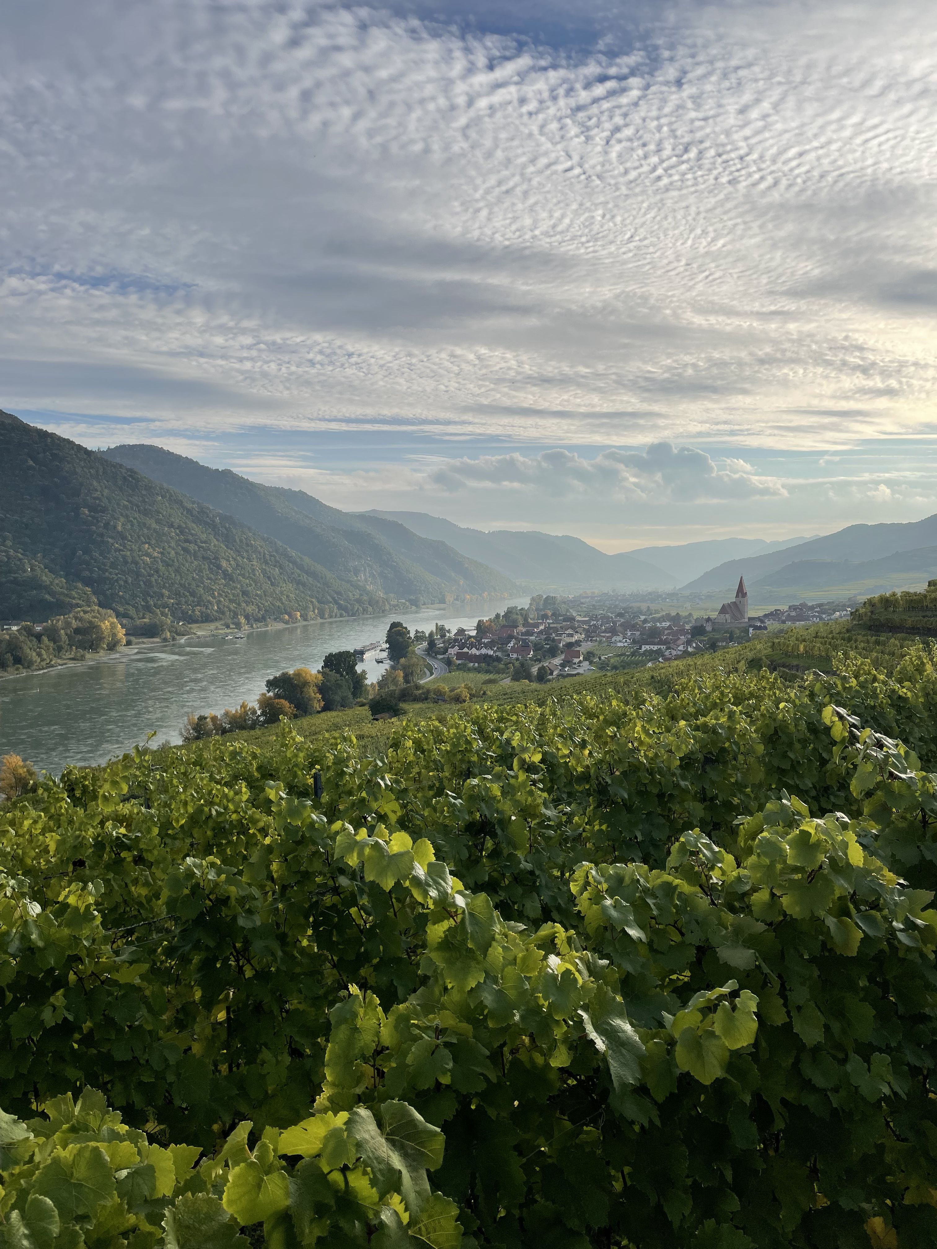 A view from the vineyards back in October over Weissenkirchen and the Danube in Austria’s most beloved wine region, the Wachau Valley.
