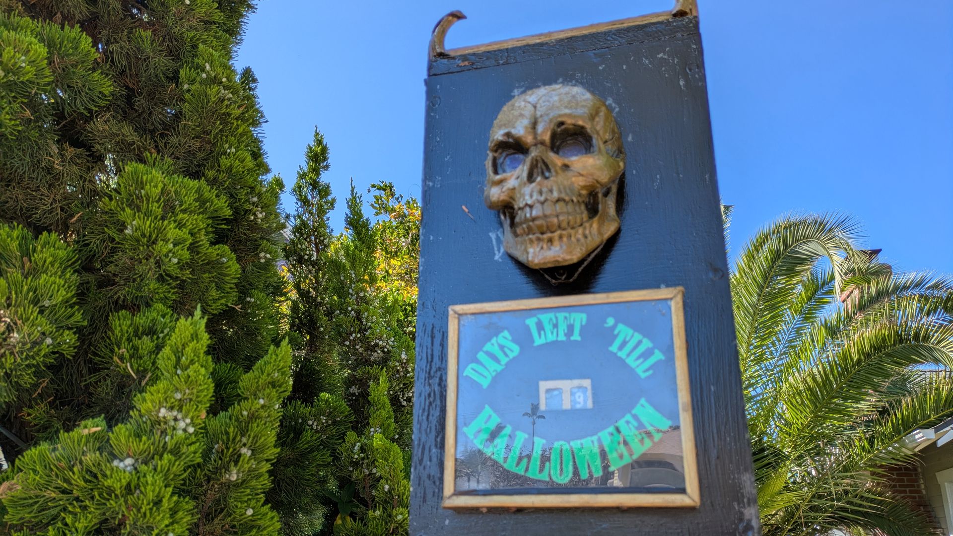 Black Halloween countdown sign with a skull on top and green text reading "DAYS LEFT 'TILL HALLOWEEN" against a background of green trees and a clear blue sky.