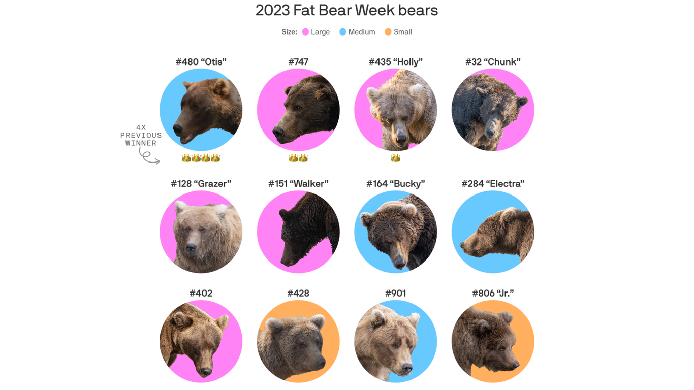 Fat Bear Week is here Meet the contestants