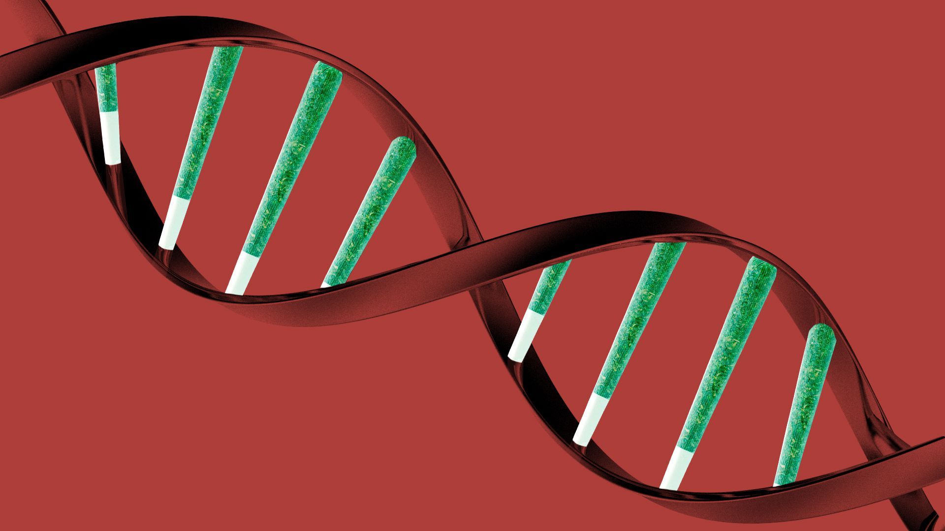 Illustration of a close up of a DNA strand with marijuana joints as the base pairs.Β