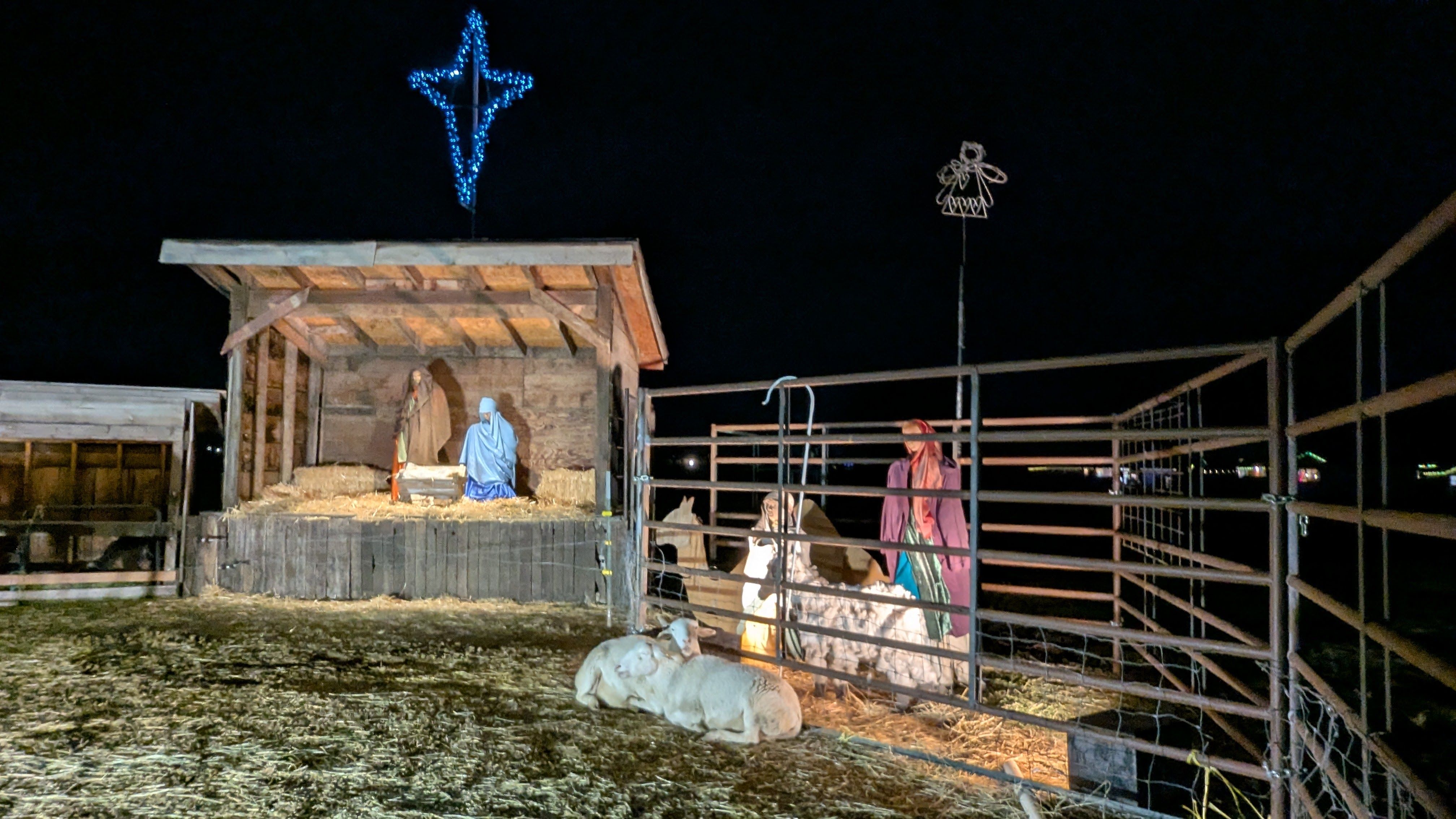 Sheep cuddle near decorations of shepherds in a corral.