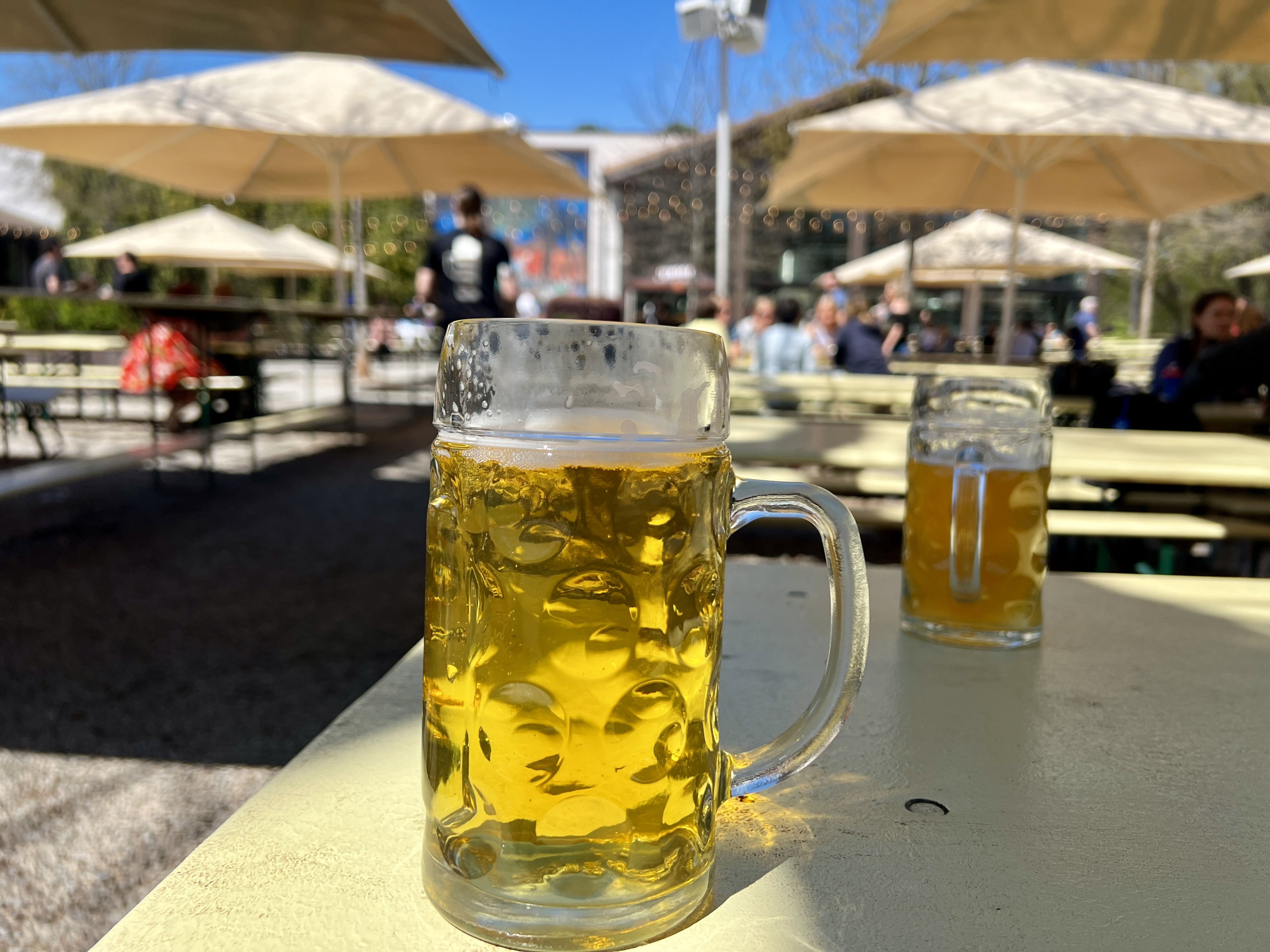 Two clear glass mugs filled with golden beer on a pale yellow outdoor table under large beige umbrellas with people seated at picnic tables in the background on a sunny day.