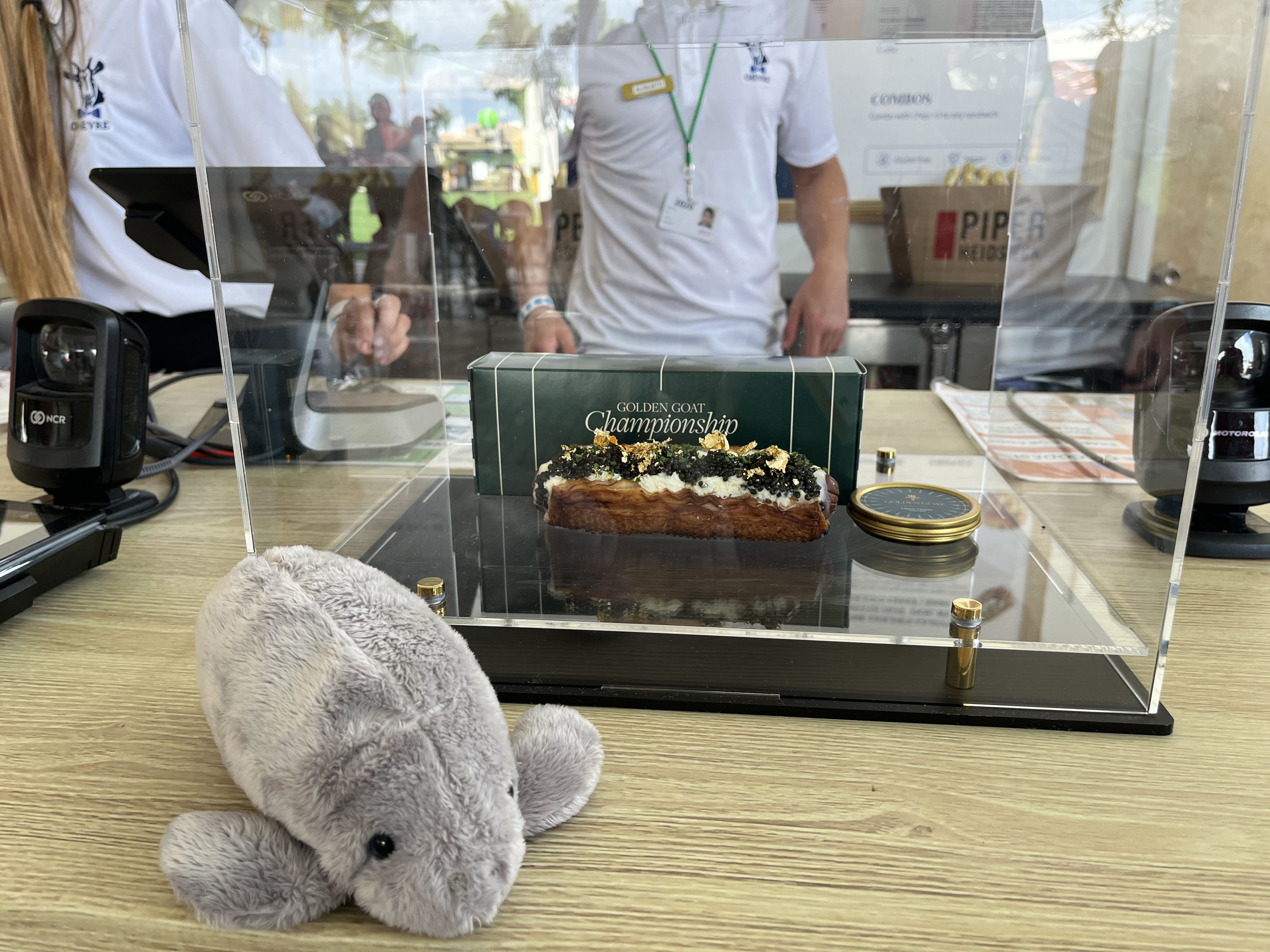 Manny Jr. the stuffed manatee poses with a $100 hot dog