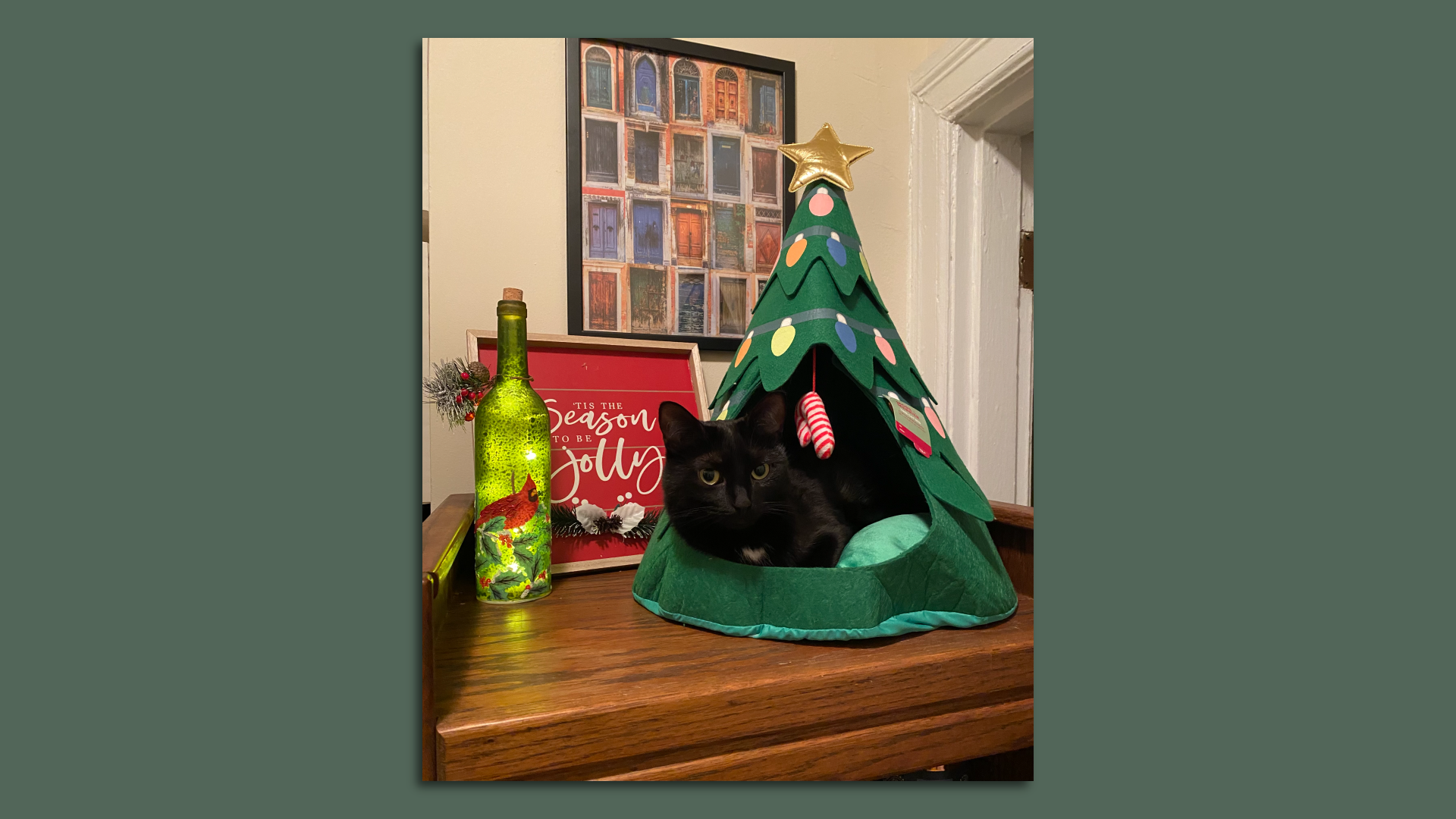 Photo of a cat in a Christmas tree bed