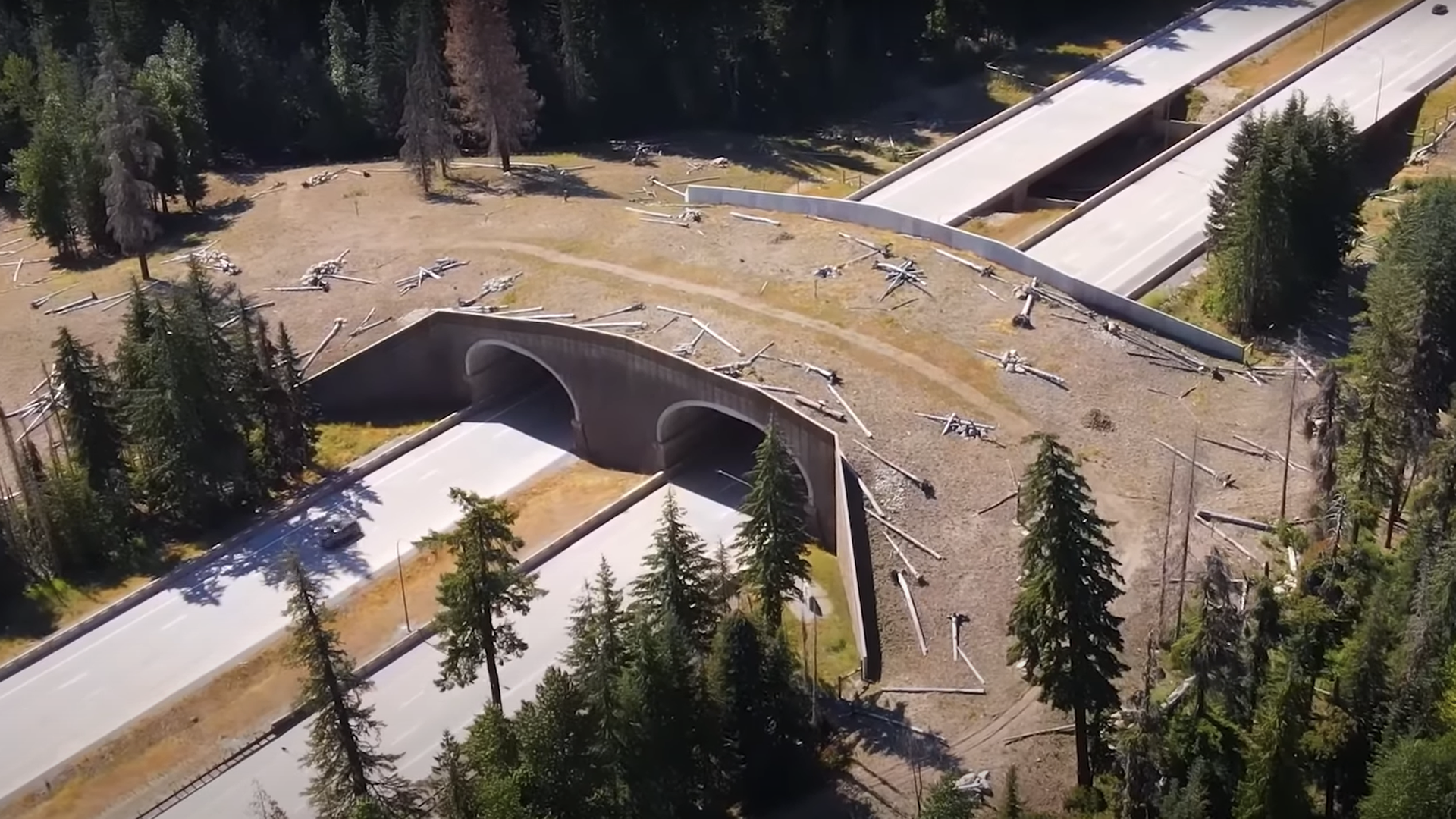 An aerial shot of a wildlife bridge over a large freeway, surrounded by evergreen trees.