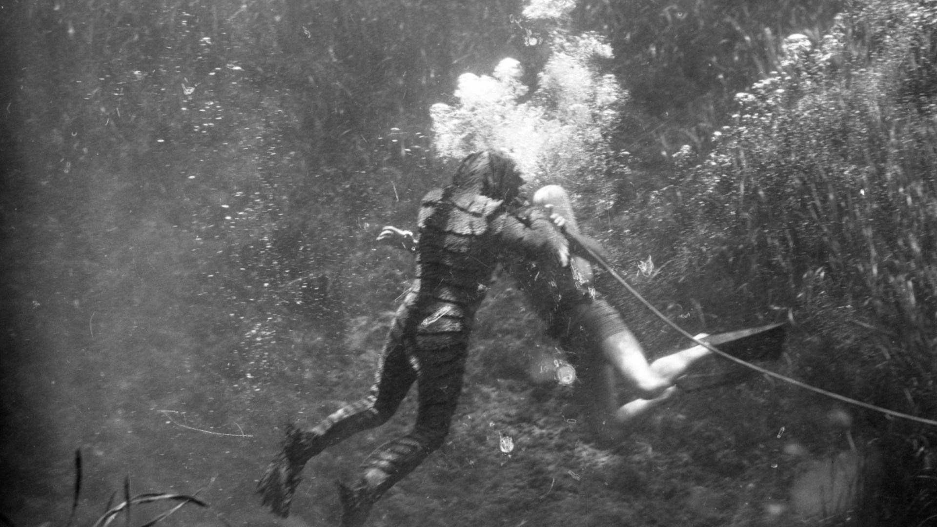 A black-and-white photo of a person in a scaly monster suit and a second person wearing flippers coming together in the water, the view of their faces blocked by bubbles.